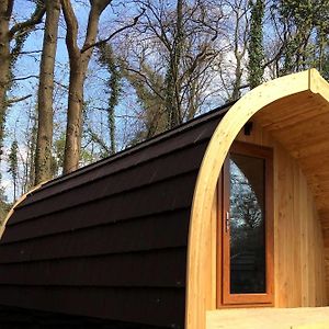 One-Bedroom Woodland Pod